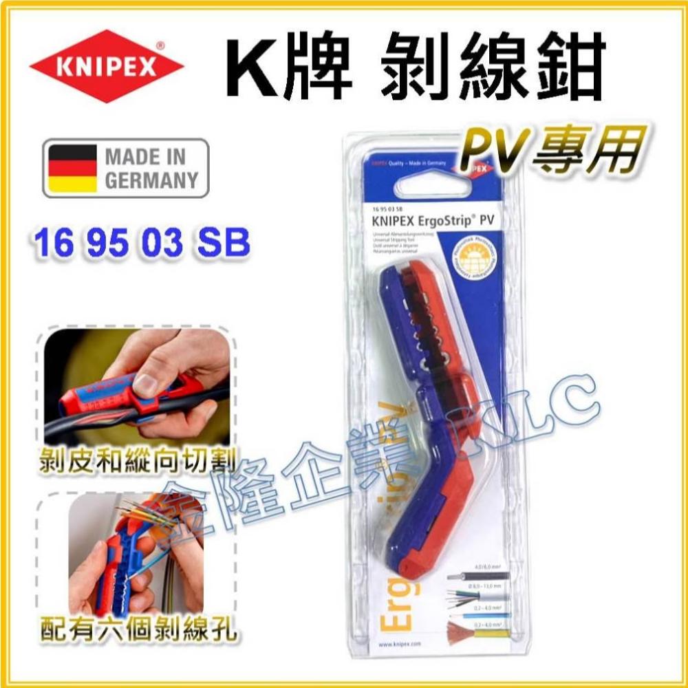 剥製　てん ヨシモトコレクション >> 標本・資料データベース :: 国立科学