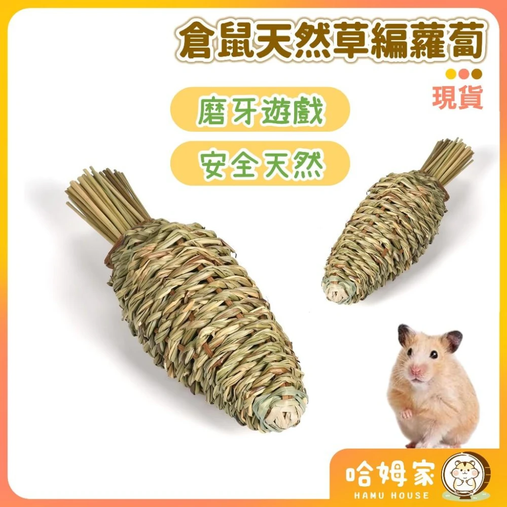 天然編織蘿蔔 🧡  倉鼠啃咬磨牙玩具 倉鼠豐容 造景用品 兔子玩具 天竺鼠玩具