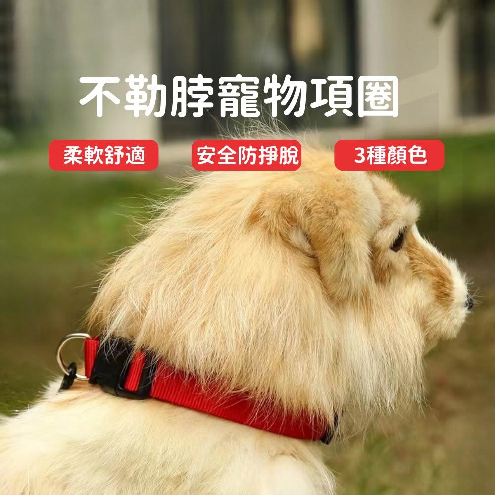 項圈 寵物 貓咪項圈 貓項圈 狗項圈 狗狗項圈 寵物項圈 大型犬項圈 小型犬項圈寵 寵物