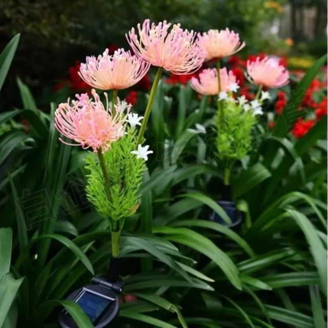 太陽能彼岸花燈 彼岸花燈 粉色花朵 向陽花燈 太陽能燈 太陽能庭園燈 花園燈 太陽能裝飾燈 戶外燈 太陽能插地燈 草坪燈