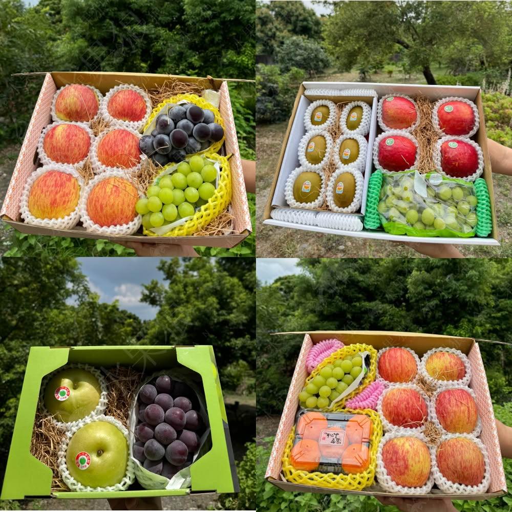 【水果狼】富士蘋果X日本麝香葡萄X貓眼葡萄X蜜柑X奇異果 綜合水果禮盒 