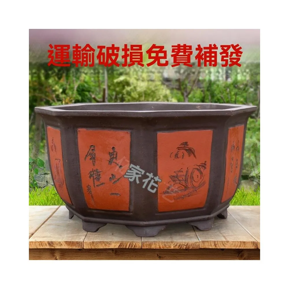 紫砂六角盆- 比價撿便宜- 優惠與推薦- 2026年7月