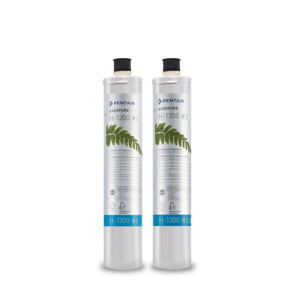【EVERPURE 愛惠浦】H1200活性碳濾芯(DIY更換)