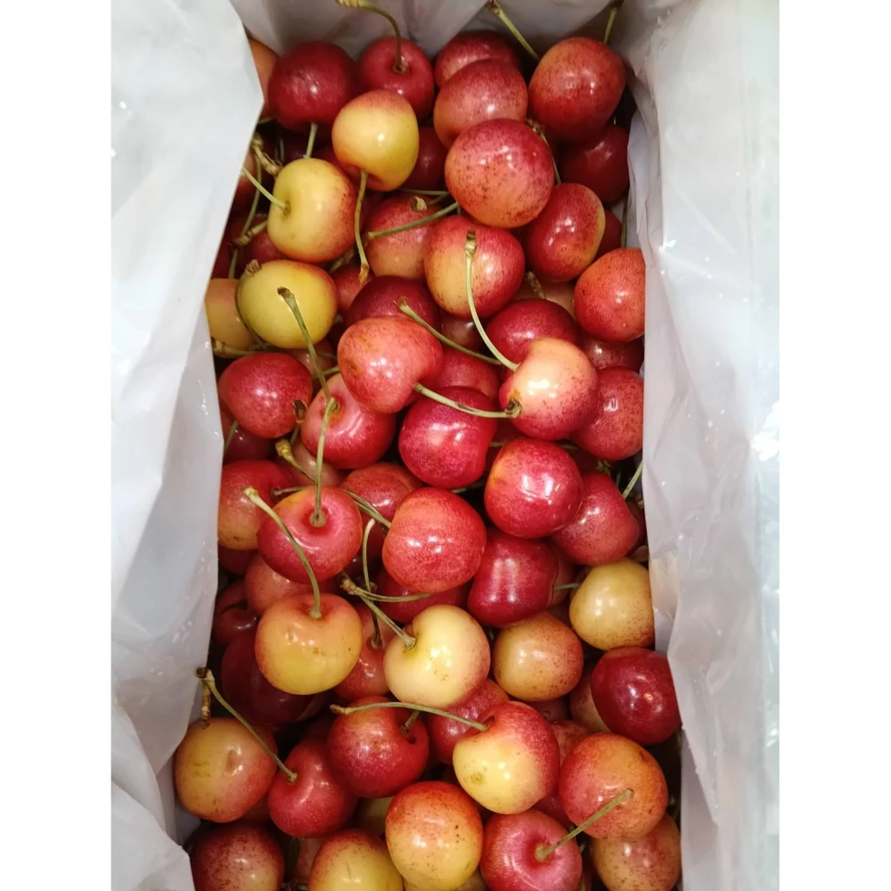 【莎莉嚴選】紐西蘭空運白櫻桃  28mm   2kg / 原裝