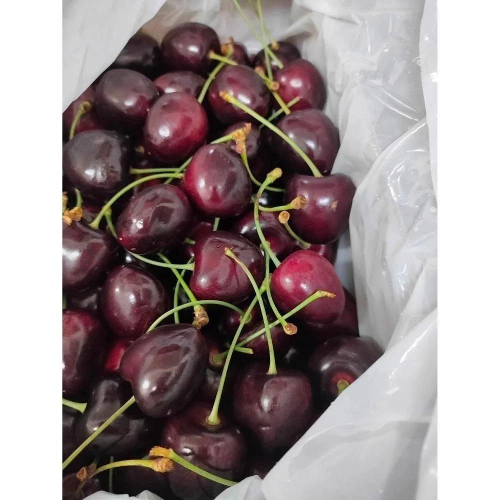 【莎莉嚴選】澳洲 塔斯馬尼亞櫻桃Tasmania Premium Cherries    32mm / 2kg/箱 
