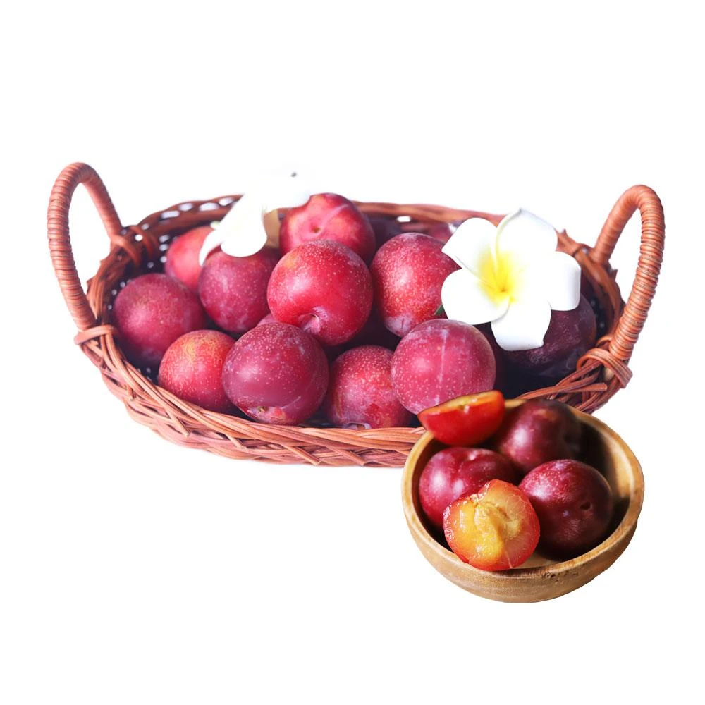 【築地一番鮮】智利｜櫻桃李西瓜李｜500g｜盒