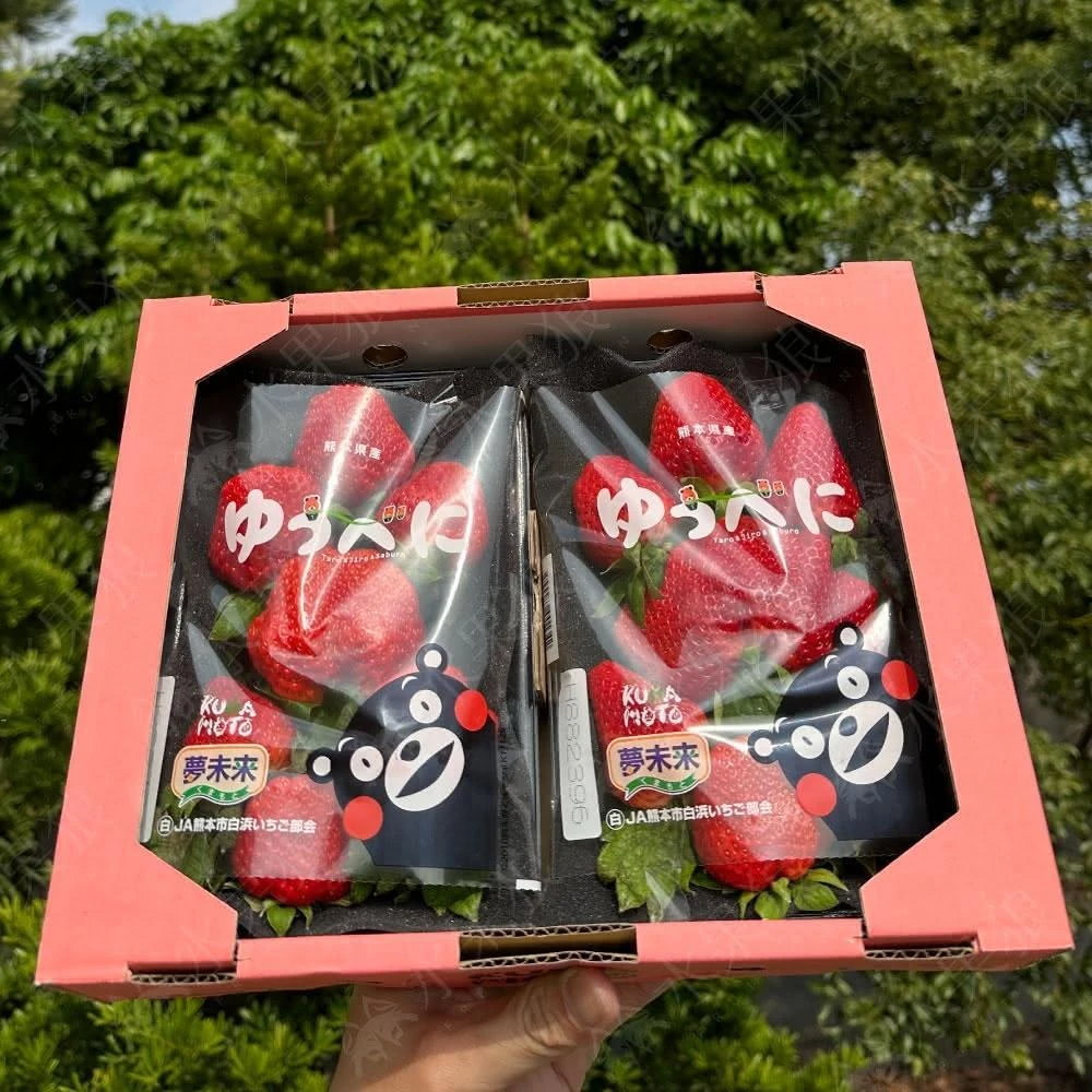 【水果狼】日本嚴選熊本/佐賀/福岡縣草莓 日本草莓  新年禮盒