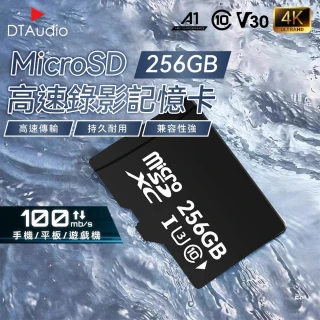 【DTAudio】MicroSD 256GB記憶卡(大容量記憶卡 快速記憶卡 高速記憶卡 ☆存卡)