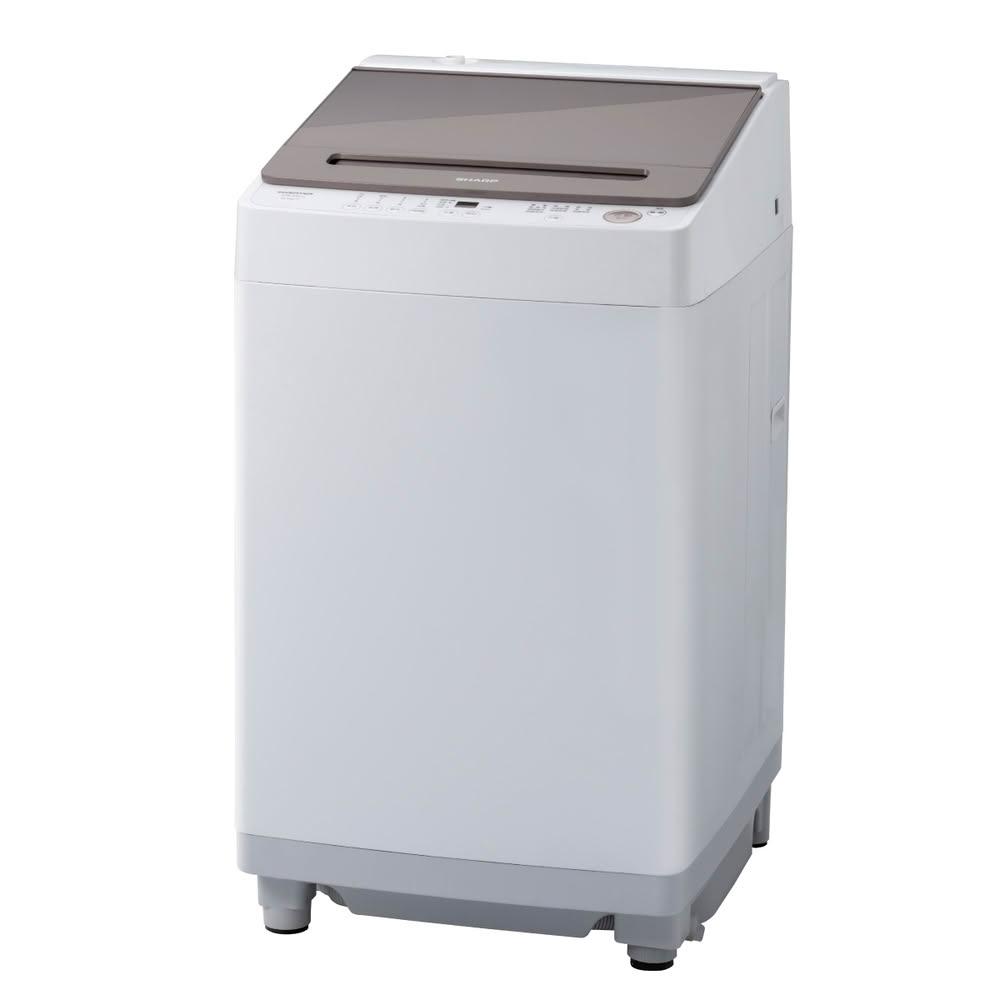 【SHARP 夏普】ES-ASG13T  13KG 無孔槽變頻洗衣機~含基本安裝