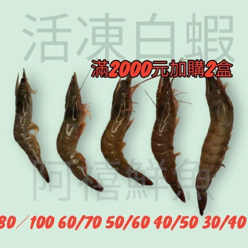 【阿禧鮮魚行】嚴選鮮蝦大白蝦上桌〔訂單滿兩千限量加購兩盒 〕海蝦 草蝦 白刺蝦 手臂蝦 泰國蝦 蝦全家店到店