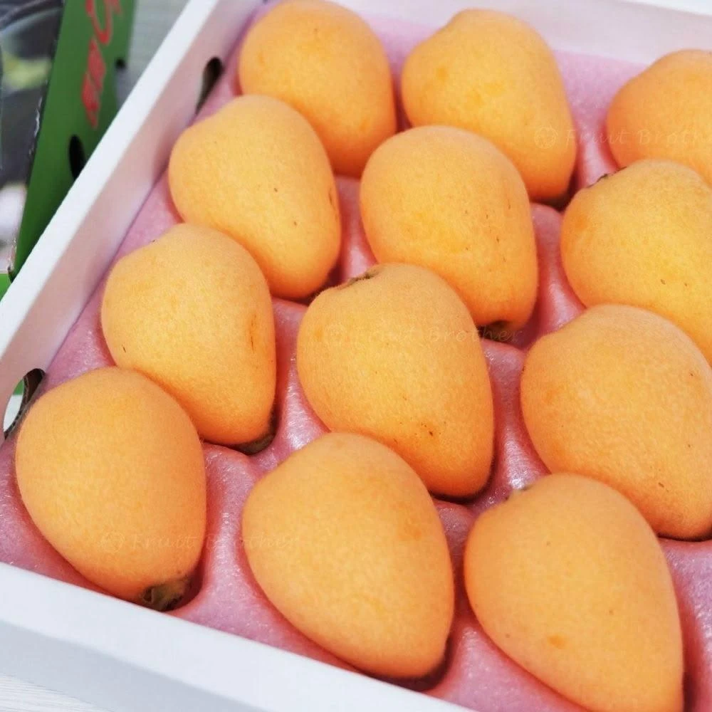 【真果鮮本舖】國產新社二櫃高山枇杷 單盒600g 約15-20顆