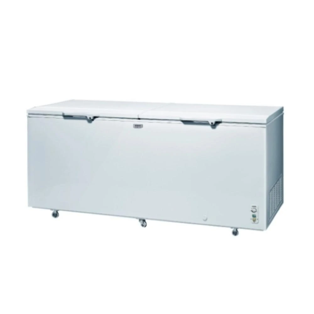 Sanlux 台灣三洋 SCF-616G