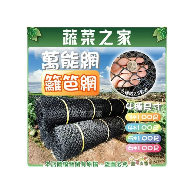 【蔬菜之家】萬能網籬笆網-3尺、4尺、5尺、6尺-總長100尺  籬笆菜圃、花園、庭院圍籬、攀藤類作物籬笆 菜圃 花園