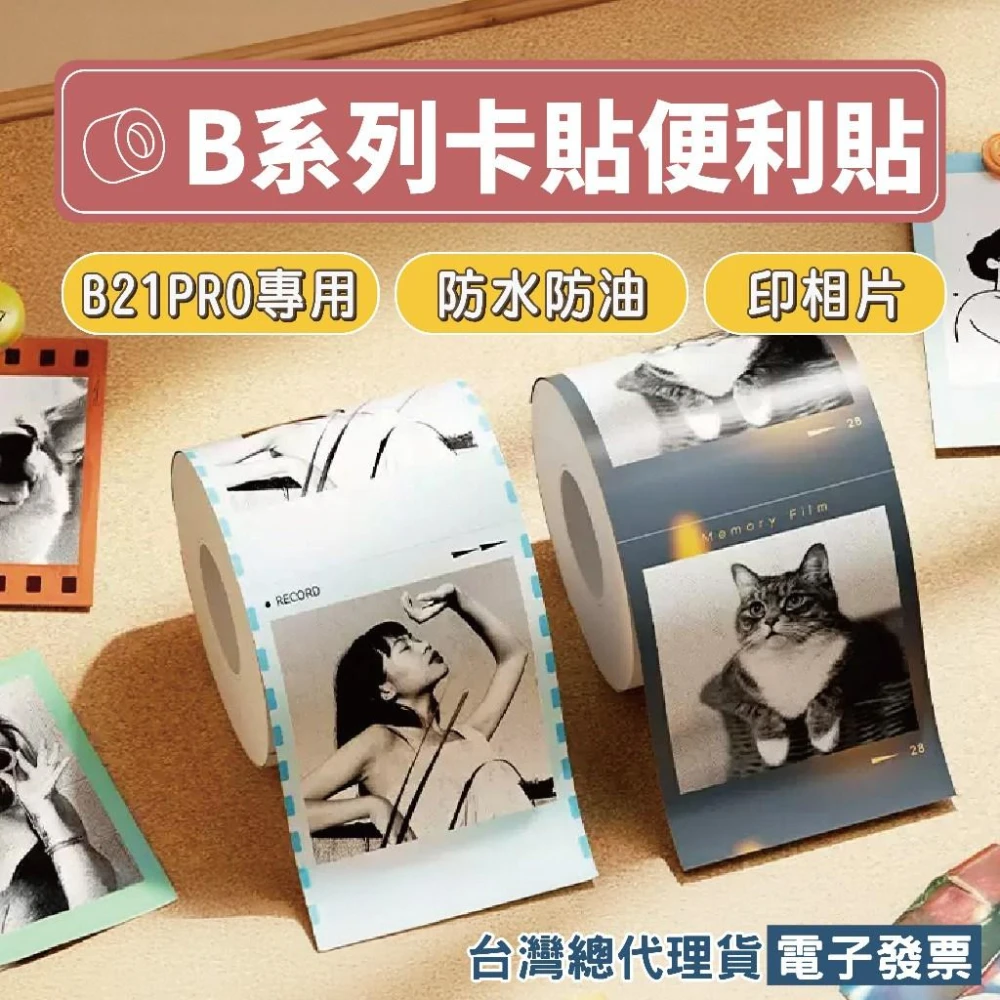 【NIIMBOT 精臣】《台灣總代理公司貨》限 B1Pro / B21Pro 專用照片打印紙 圖像圖片相片自印小卡手帳便利貼漫畫筆記本卡貼標籤