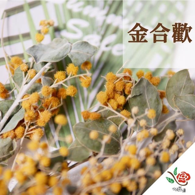 超便宜 永生金合歡 當季 極度花燥 花材 葉材 永生花 乾燥花 不凋花 金合歡 葉 葉子 畢業季 畢業 七夕 情人節