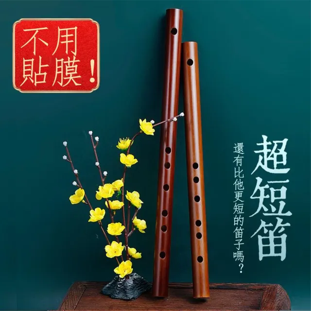 【彩虹琴音】迷你短笛 苦竹笛 初學演奏笛子 無膜孔 便攜 易學 口袋 