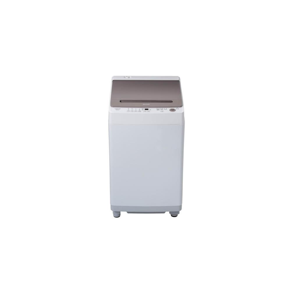 【SHARP 夏普】13公斤 無孔槽抗菌變頻直立式洗衣機 ES-ASG13T【送基本安裝,贈涼暖扇】