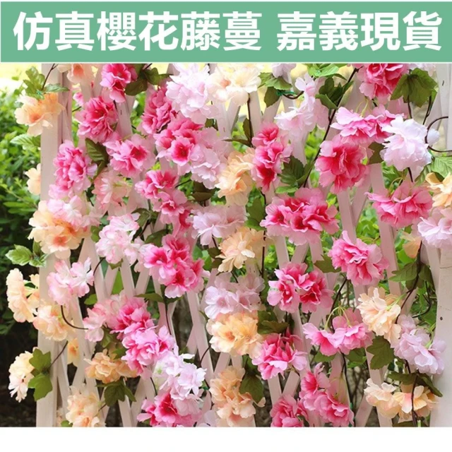 嘉義現貨 仿真櫻花藤條 假櫻花藤蔓 假花藤 藤蔓花條樹 仿真塑膠假花藤條 假綠植  假花 仿真植物 櫻花布置 裝飾花藤