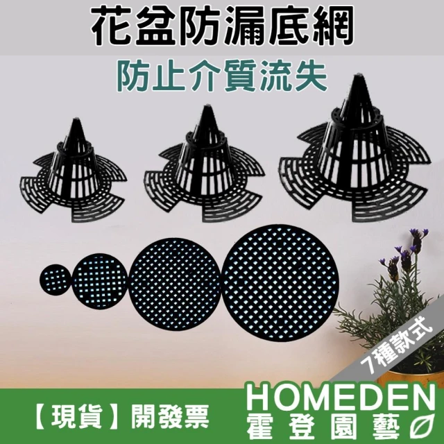 花盆防漏底網 花盆底網 錐形底網 圓形底網 空氣柱 立體生根 鹿角蕨 觀音蓮 蘭花【HOMEDEN霍登園藝】