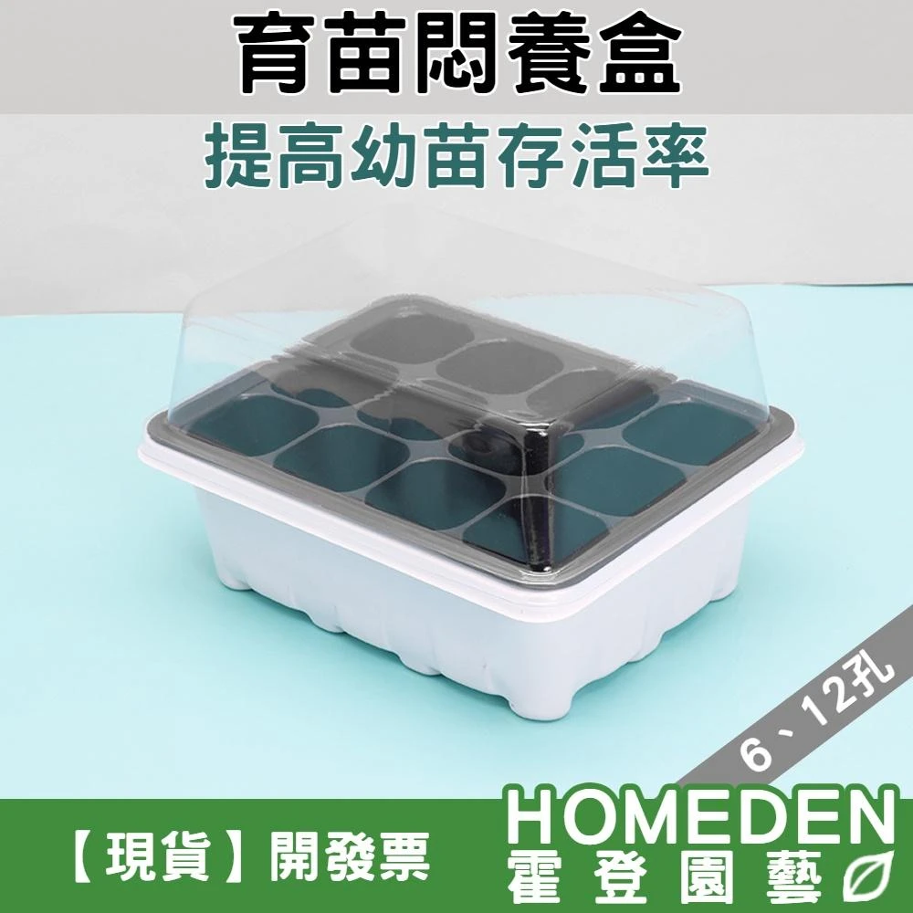 育苗悶養盒 三件套 LED育苗箱 悶養箱 透明蓋 透氣盆 多肉花盆 花盆 塑膠花盆【HOMEDEN霍登園藝】