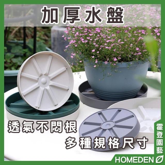 加厚水盤 水盤 花盆底盤  塑膠底盤 底盤 花盤托盤 接水盤 盆栽底盤 底盆 托盤【HOMEDEN霍登園藝】