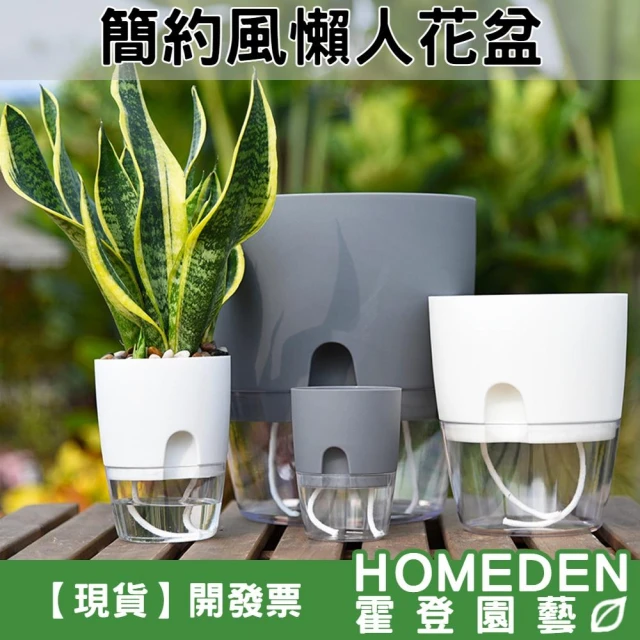 簡約風懶人花盆 磨砂透明吸水盆 懶人花盆 透明花盆 棉繩自動吸水花盆 免澆水蓄水盆【HOMEDEN霍登園藝】