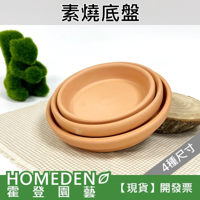 素燒底盤 紅土水盤 花盆水盤 花盆底盤【HOMEDEN霍登園藝】