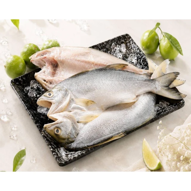 【海之醇】台灣大規格午仔魚一夜干350-400g