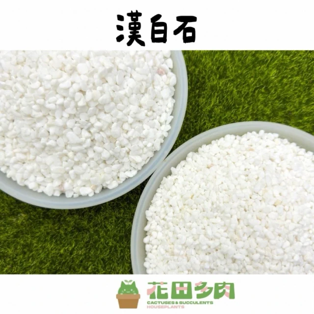 《花田多肉》🌵【漢白石】  500ml 鋪面石/介質/天然礦石/多肉植物/仙人掌/園藝/盆栽/組盆/造景/龍舌蘭