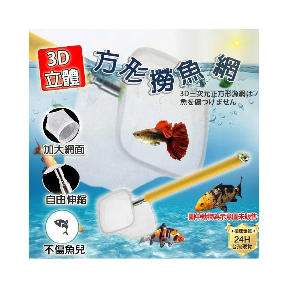 龜室｜3D立體不鏽鋼魚網 撈魚網 撈蝦網 水族魚缸專用撈魚 撈水晶蝦 手撈網 撈魚網 撈蝦 水族 魚缸 養魚 養蝦