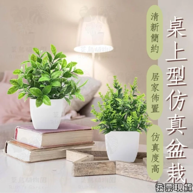  沐晨植物園｜仿真植物 盆栽裝飾 小盆栽假植物 假盆栽 辦公室盆栽 迷你盆栽 仿真盆栽 仿真植物盆栽 居家裝飾 室內盆栽